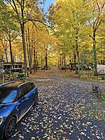 Site #249- 2022 Northlander Reflection,12' X 38', 2 bedroom,