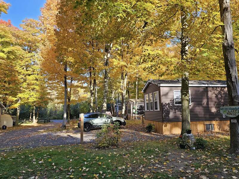 Site #249- 2022 Northlander Reflection,12' X 38', 2 bedroom,