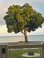 Site #1045-2016 Northlander Escape-1 1/2 wide-3 bed-WATERFRONT-Pebble Beach