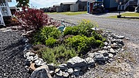 Site #1200--NEW REDUCED PRICE!-  Pebble Beach Escape 2016-2 bed