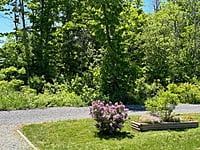 Site #1310- 2018 Pebble Beach Escape -Site 1310 -By The Woods Site #1310- 2018 Pebble Beach Escape -Site 1310 -By The Woods