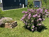 Site #1310- 2018 Pebble Beach Escape -Site 1310 -By The Woods Site #1310- 2018 Pebble Beach Escape -Site 1310 -By The Woods