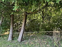 Site # 173 - 2018 Northlander Reflection Site # 173 - 2018 Northlander Reflection