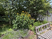 NEW LISTING!! SITE #492-2009-Northlander Cottager-Limestone South-2 bed, 39'X14'