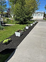 Site 411B- 2007 Northlander Meadowbrook-42'X24'- Limestone North Extended Season