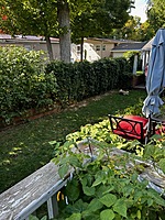 Site 411B- 2007 Northlander Meadowbrook-42'X24'- Limestone North Extended Season