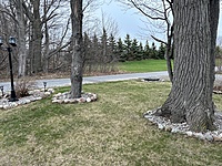 Site #539 Northlander Escape-2 bed- Limestone South