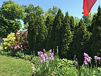NEW LISTING!!!  Site #541- 2011 Northlander Escape- 1 Bed + Den- Limestone Acres South