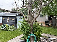 Site #49- 2014 NORTHLANDER ESCAPE, 1 1/2 WIDE, 2 BED- MAIN PARK